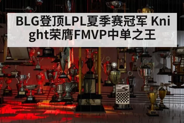 BLG登顶LPL夏季赛冠军 Knight荣膺FMVP中单之王